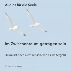Audio- Du musst jetzt noch nichts entscheiden- 2 Möwen im hellblauen Himmel, ruhige Stimmung