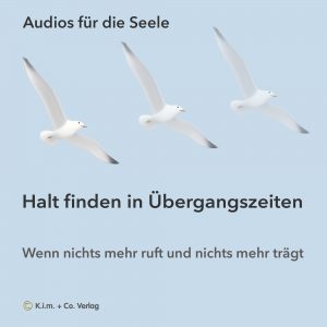 Audio - Wenn nichts mehr ruft und nichts mehr trägt - blauer Himmel - 3 Möwen - ruhige Stimmung